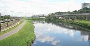 Foto: (Imagem sem texto alternativo disponivel ID [821766])