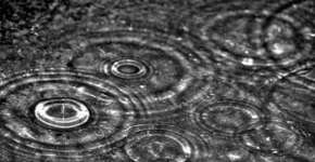 Foto: (Imagem sem texto alternativo disponivel ID [1861459])