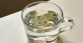 Foto: (Imagem sem texto alternativo disponivel ID [2718504])