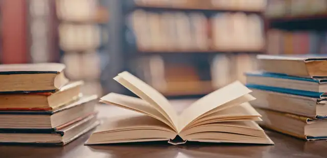 Festa Literária da Penha