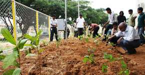 Foto: (Imagem sem texto alternativo disponivel ID [808328])