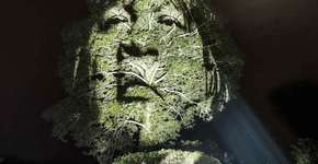 Arte pela floresta Amazônica