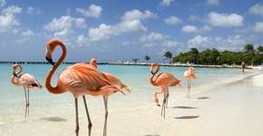 Foto: (VanWyckExpress/iStock)