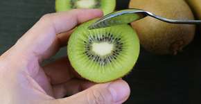 Foto: (iStock/lovelypeace)