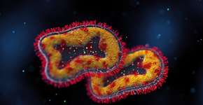 Foto: (BlackJack3D/istock)