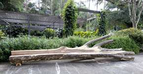 Foto: (Imagem sem texto alternativo disponivel ID [1845145])