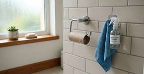 Não jogue fora os rolos de papel higiênico, tente levá-los para o parapeito da janela: Até agora, eu sentia que era um desperdício jogá-los fora