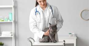 Foto: (Imagem sem texto alternativo disponivel ID [2759842])