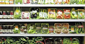 Jovem cria bandejas biodegradáveis para substituir embalagens de isopor