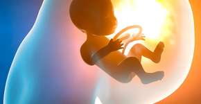 Foto: (iSTock/Naeblys)