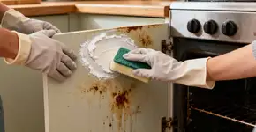 Foto: (Imagem sem texto alternativo disponivel ID [2672455])