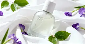 Foto: (Imagem sem texto alternativo disponivel ID [2668722])