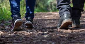 Foto: (iStock/Paolo Ercolani)