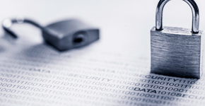 Foto: (Imagem sem texto alternativo disponivel ID [739025])