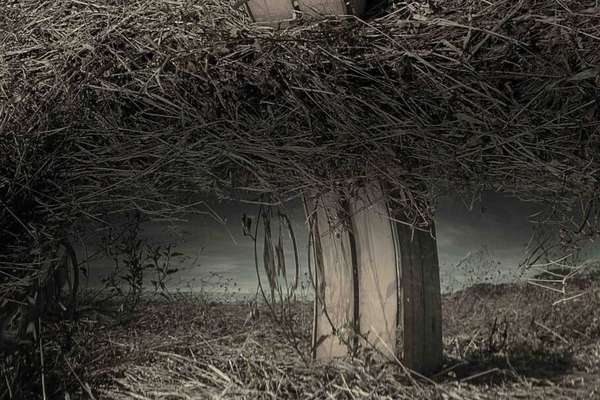 por Khaori Wakamatsu