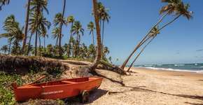 Foto: (Boralá Blog)