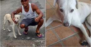 Após vídeo viralizar, homem adota cão que fez xixi em suas costas