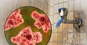 Foto: (Dr_Microbe/istock)