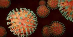 Brasil tem o terceiro caso confirmado da variante Ômicron