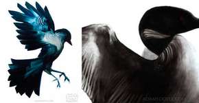 Foto: (Imagem sem texto alternativo disponivel ID [1168276])