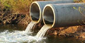 Foto: (aquatarkus/istock)