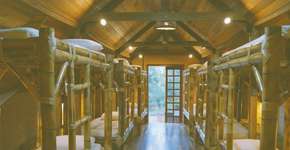 Foto: (Divulgação)