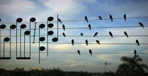 Foto: (Imagem sem texto alternativo disponivel ID [1864850])