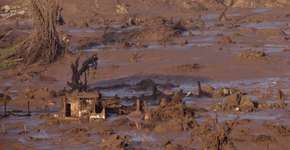 Saiba como ajudar as vítimas da tragédia em Mariana