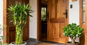 As 15 melhores plantas para atrair boa sorte em 2026, segundo o Feng Shui