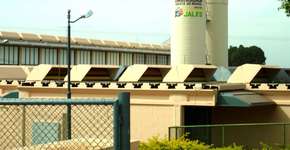 Foto: (Divulgação)