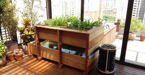 Foto: (Imagem sem texto alternativo disponivel ID [1836132])