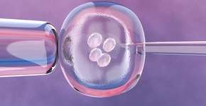 Foto: (luismmolina/istock)