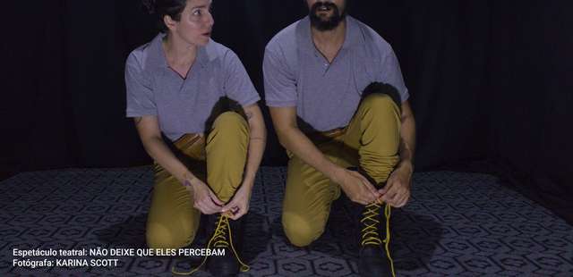 Mostra internacional Miacena