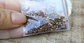 Foto: (Reprodução/TV Anhanguera)