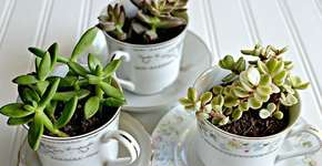 12 maneiras criativas de transformar velhos utensílios de cozinha