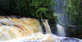 Foto: (Imagem sem texto alternativo disponivel ID [1868392])