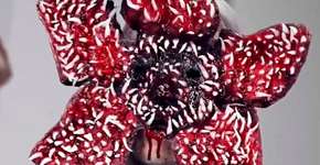 Foto: (Imagem sem texto alternativo disponivel ID [1150705])