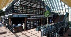 Foto: (Imagem sem texto alternativo disponivel ID [1862040])