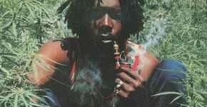 A história recente da maconha em fatos e personagens