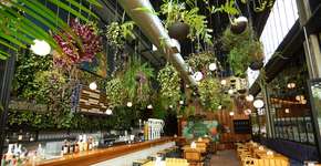 Foto: (Divulgação)