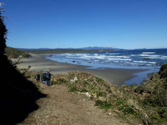 Trilha que leva até a praia selvagem em Chepu