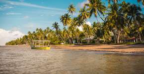 Foto: (MesquitaFMS/iStock)