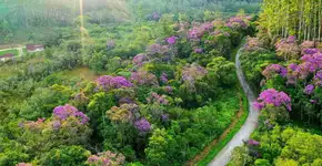 Parque das Neblinas tem nova trilha com opção de camping
