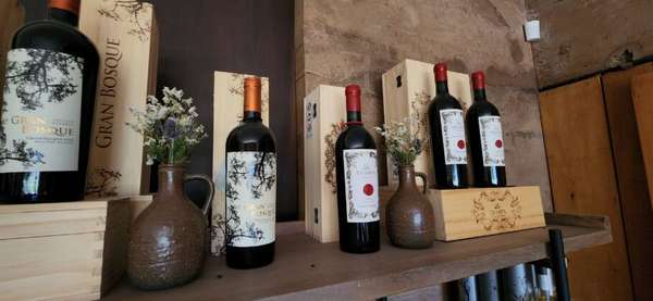 Rótulos mais emblemáticos da vinícola 