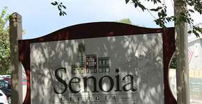 Foto: (Imagem sem texto alternativo disponivel ID [1483552])