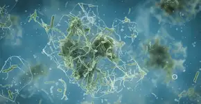 Microrganismos que decompõem plástico nos mares revelam nova esperança para os oceanos