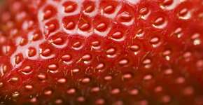 Estudo revela como o consumo de morango previne demência