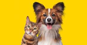 Foto: (Imagem sem texto alternativo disponivel ID [2621414])