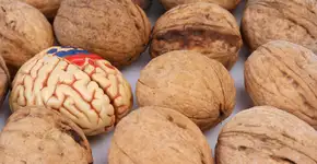 Remédio contra a demência pode estar no seu prato, garante estudo britânico