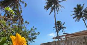 Foto: (Reprodução/Instagram @icaraideamontada)